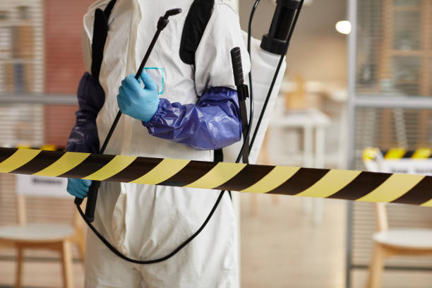 Professional Biohazard technician working in Angelus Oaks, CA